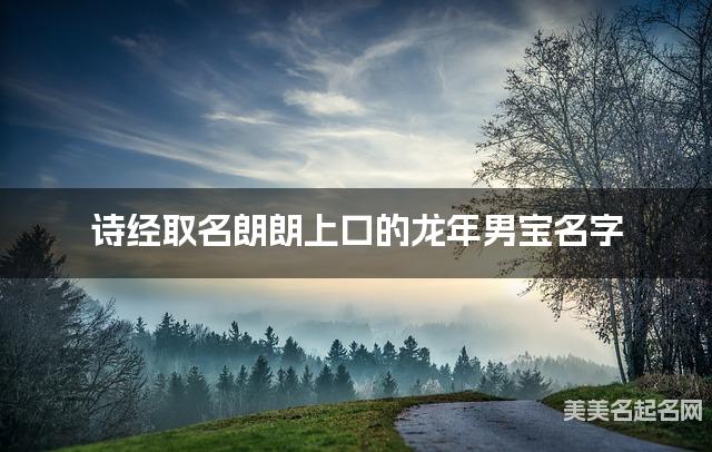 诗经取名朗朗上口的龙年男宝名字