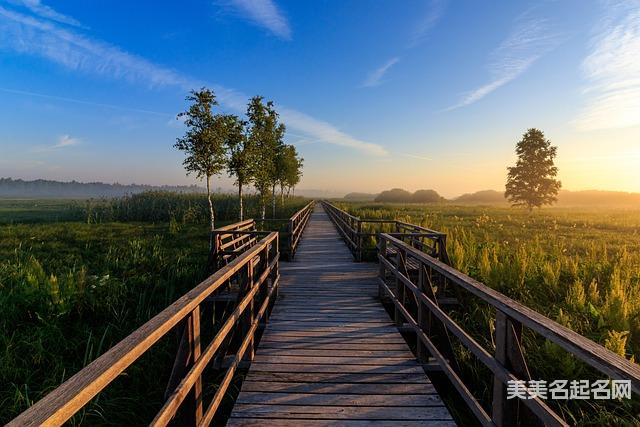 2025年女宝宝可以从诗句中取什么名字