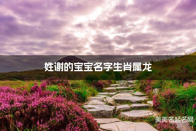 姓谢的宝宝名字生肖属龙 有新意的宝宝名字大全 姓谢的宝宝名字生肖属龙 有新意的宝宝名字大全