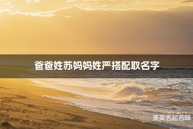 爸爸姓苏妈妈姓严搭配取名字