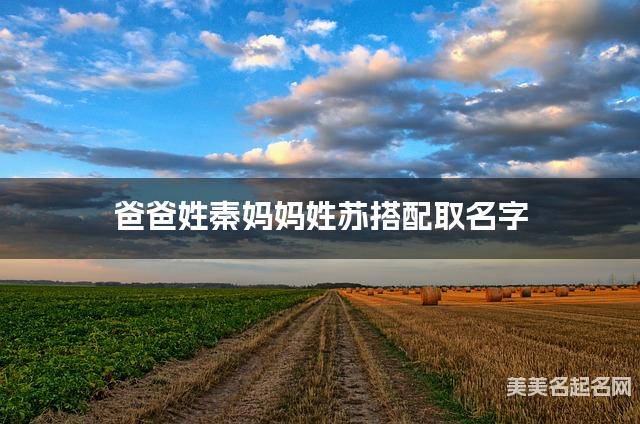 爸爸姓秦妈妈姓苏搭配取名字