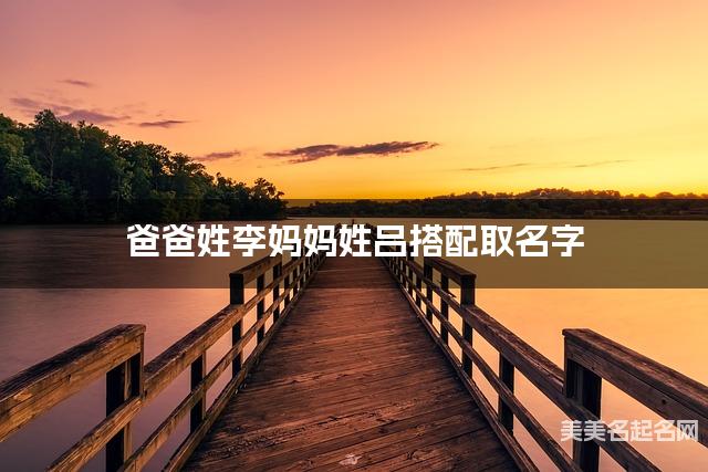 爸爸姓李妈妈姓吕搭配取名字