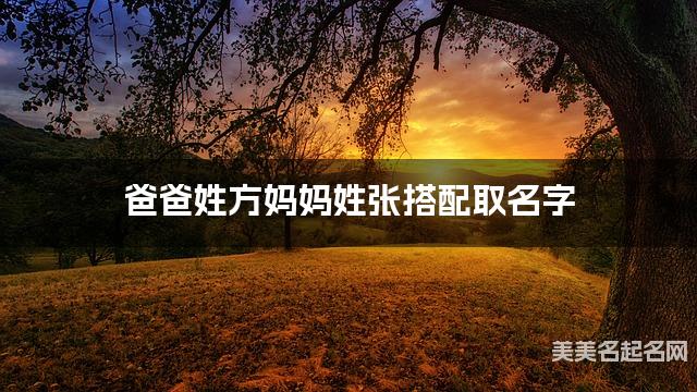 爸爸姓方妈妈姓张搭配取名字