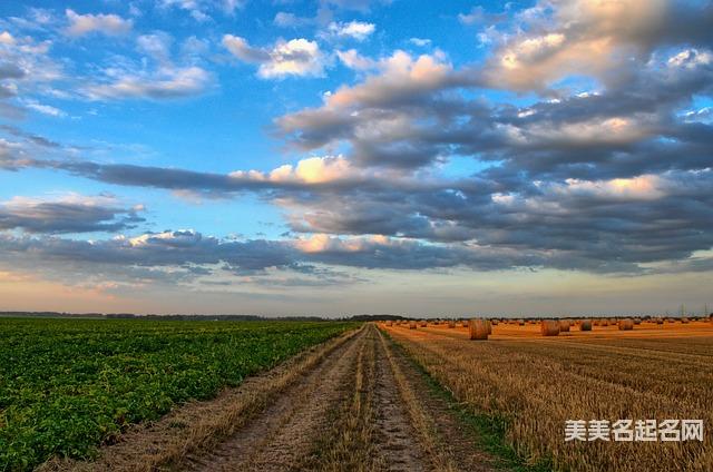 蒋姓有文采典故的女孩名字100分
