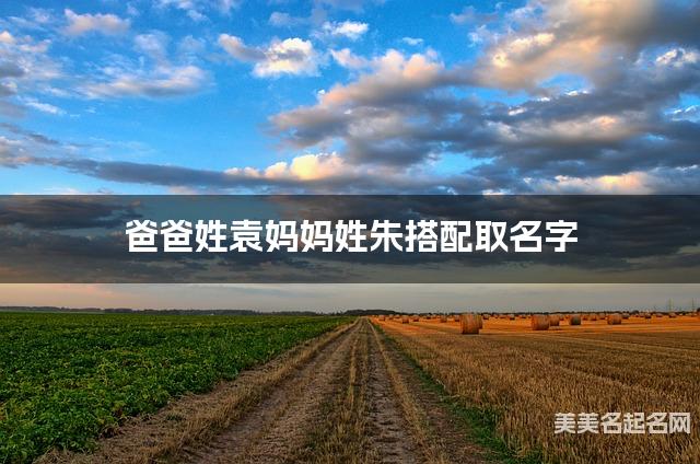 爸爸姓袁妈妈姓朱搭配取名字