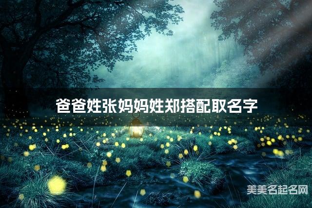 爸爸姓张妈妈姓郑搭配取名字