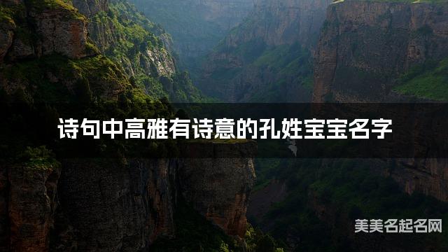 诗句中高雅有诗意的孔姓宝宝名字