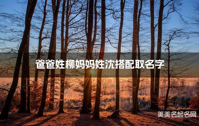 爸爸姓柳妈妈姓沈搭配取名字