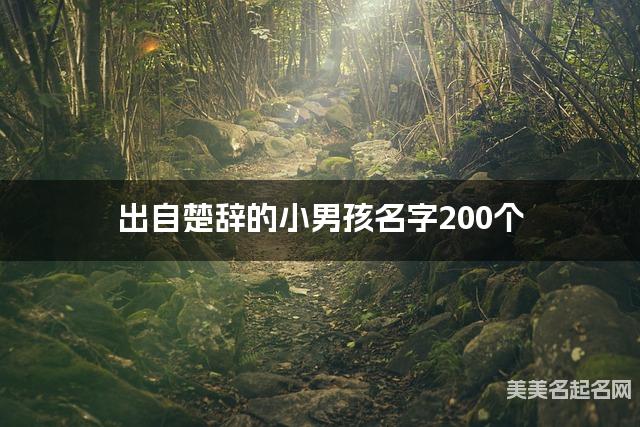 出自楚辞的小男孩名字200个
