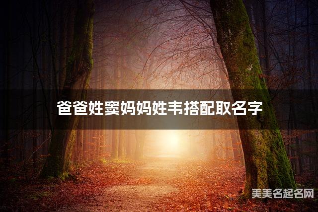 爸爸姓窦妈妈姓韦搭配取名字