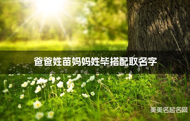 爸爸姓苗妈妈姓毕搭配取名字