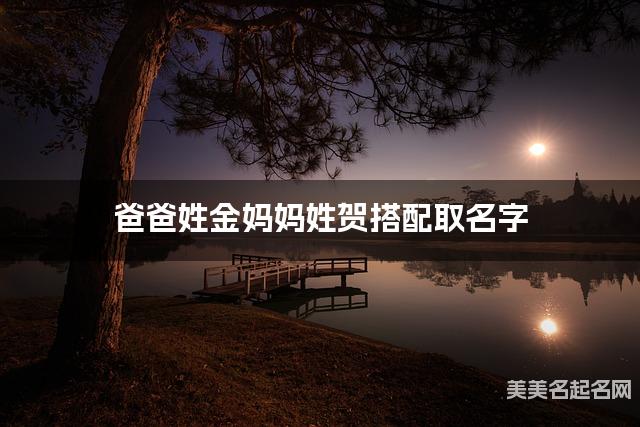 爸爸姓金妈妈姓贺搭配取名字