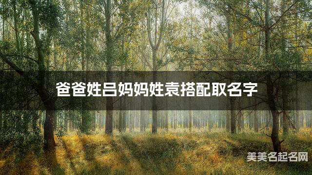 爸爸姓吕妈妈姓袁搭配取名字