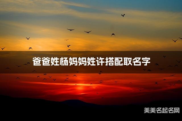 爸爸姓杨妈妈姓许搭配取名字