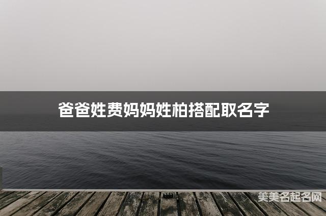 爸爸姓费妈妈姓柏搭配取名字