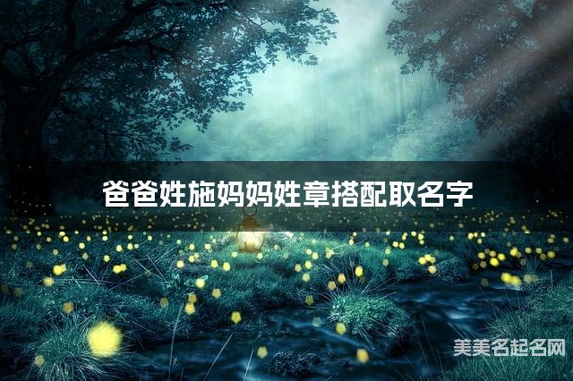 爸爸姓施妈妈姓章搭配取名字