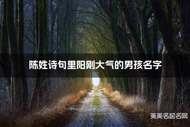起名网免费取名神器 陈姓诗句里阳刚大气的男孩名字
