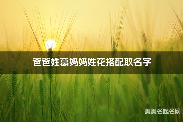 爸爸姓葛妈妈姓花搭配取名字