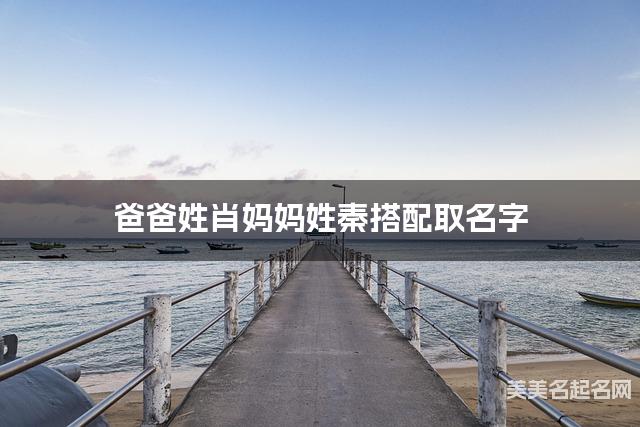 爸爸姓肖妈妈姓秦搭配取名字