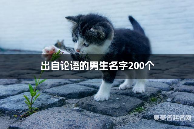 出自论语的男生名字200个
