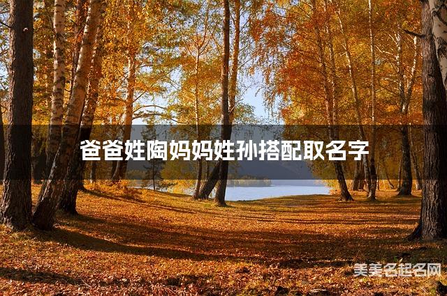 爸爸姓陶妈妈姓孙搭配取名字