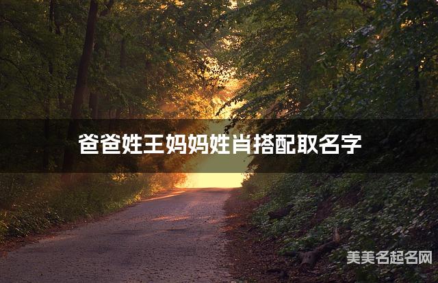 爸爸姓王妈妈姓肖搭配取名字