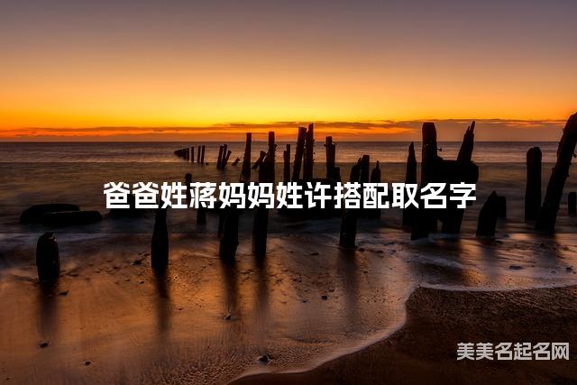 爸爸姓蒋妈妈姓许搭配取名字