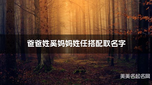 爸爸姓奚妈妈姓任搭配取名字