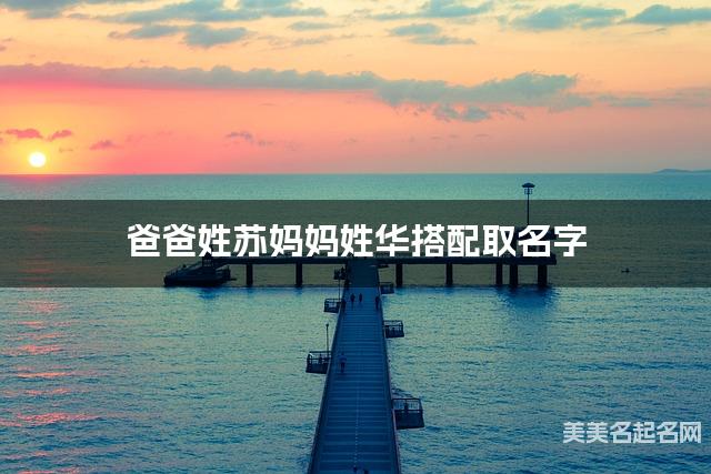 爸爸姓苏妈妈姓华搭配取名字