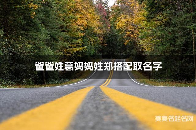 爸爸姓葛妈妈姓郑搭配取名字