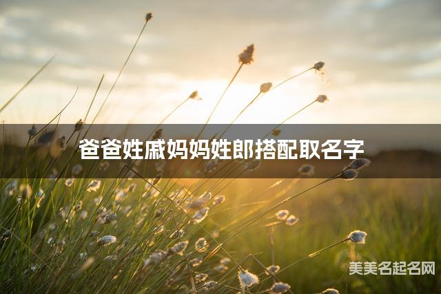 爸爸姓戚妈妈姓郎搭配取名字