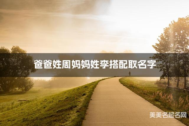 爸爸姓周妈妈姓李搭配取名字
