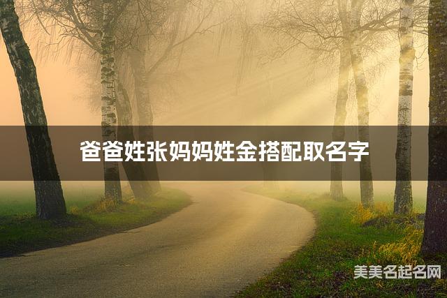 爸爸姓张妈妈姓金搭配取名字