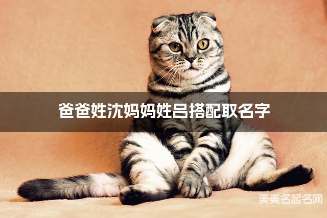 爸爸姓沈妈妈姓吕搭配取名字