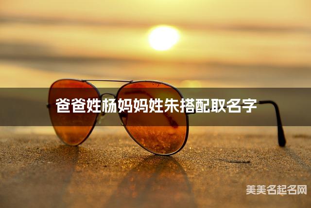 爸爸姓杨妈妈姓朱搭配取名字