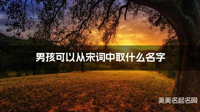 男孩可以从宋词中取什么名字
