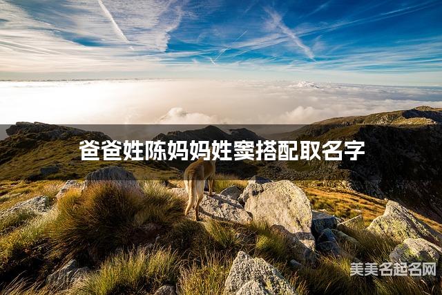 爸爸姓陈妈妈姓窦搭配取名字