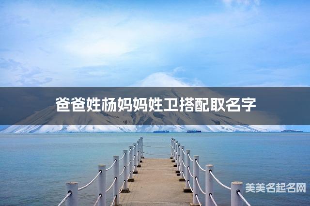 爸爸姓杨妈妈姓卫搭配取名字