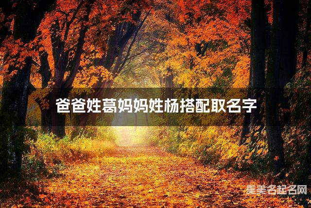 爸爸姓葛妈妈姓杨搭配取名字