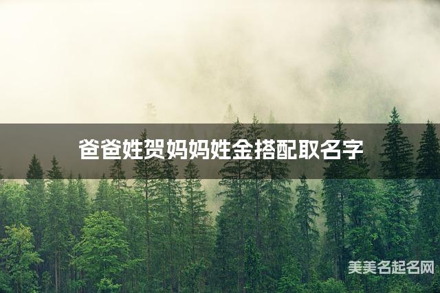 爸爸姓贺妈妈姓金搭配取名字