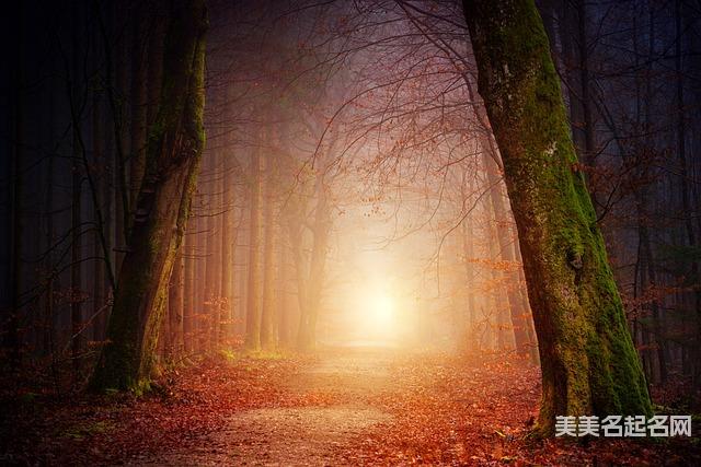 女孩取名:有寓意的带纾字女孩名字大全 女孩取名:有寓意的带纾字女孩名字大全