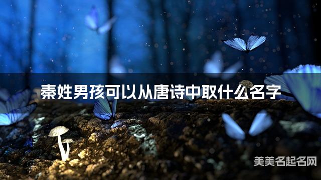 秦姓男孩可以从唐诗中取什么名字 秦姓男孩可以从唐诗中取什么名字