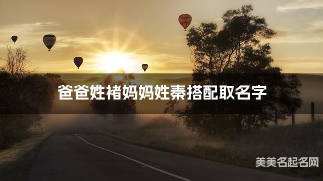 爸爸姓褚妈妈姓秦搭配取名字