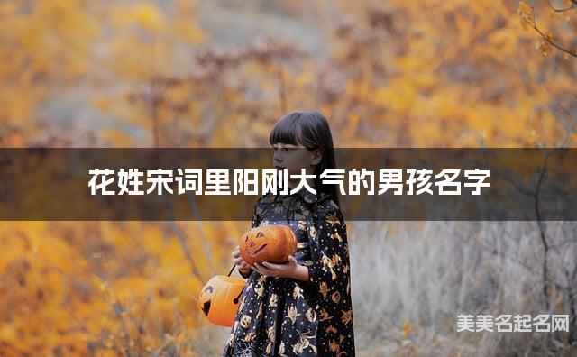 取名字在线大师取名 花姓宋词里阳刚大气的男孩名字 取名字在线大师取名 花姓宋词里阳刚大气的男孩名字