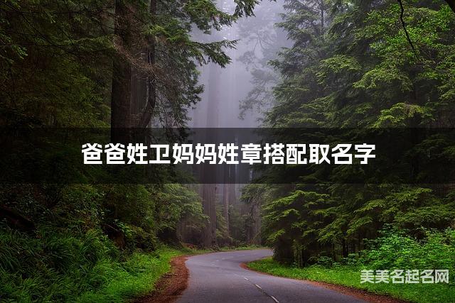 爸爸姓卫妈妈姓章搭配取名字