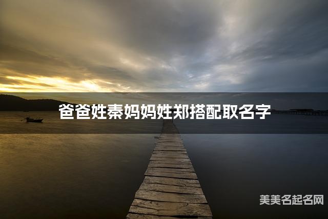 爸爸姓秦妈妈姓郑搭配取名字