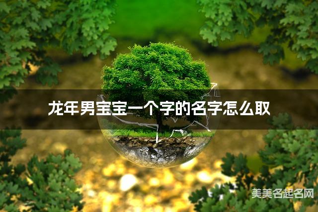龙年男宝宝一个字的名字怎么取 有灵气的宝宝单字名大全 龙年男宝宝一个字的名字怎么取 有灵气的宝宝单字名大全