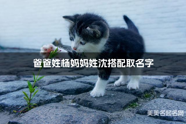 爸爸姓杨妈妈姓沈搭配取名字