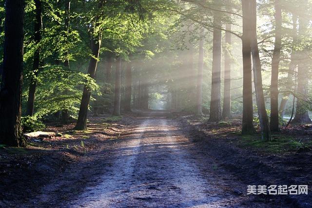 五行取名大全:2026精选带金的宝宝名字