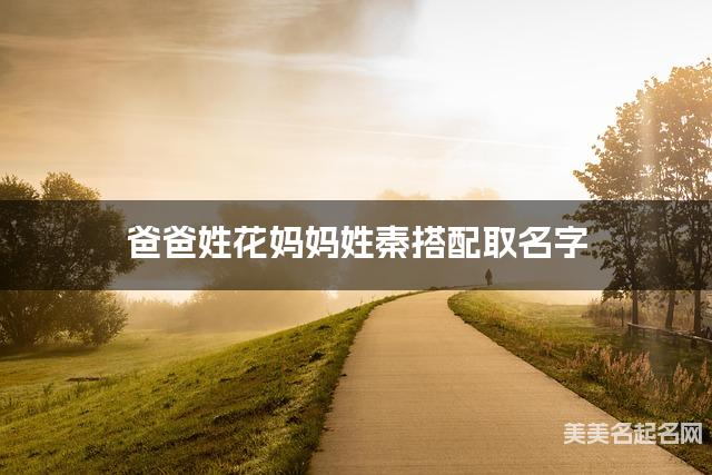 爸爸姓花妈妈姓秦搭配取名字